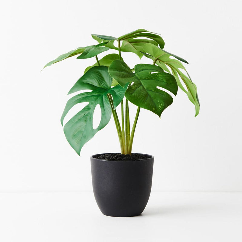 Dark Olive Green Green Monstera Plant - 28cm Artifical Flowers