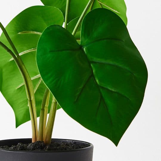 Beige Green Philodendron Plant - 28cm Artifical Flowers