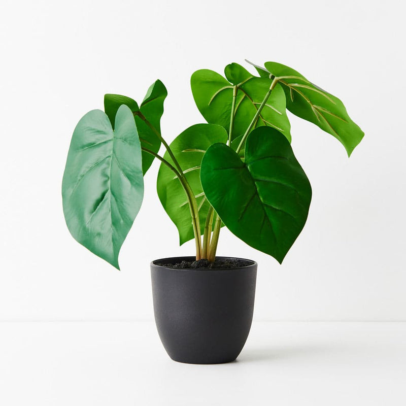 Dark Olive Green Green Philodendron Plant - 28cm Artifical Flowers